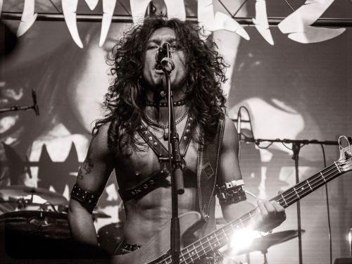 ANIMALIZE (Fr) - 27.01.2024 - Le Forum - Vauréal (Fr)
