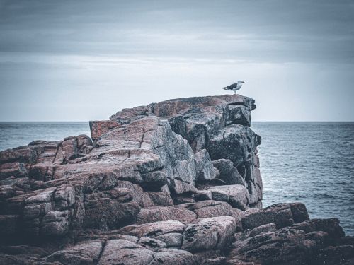 Côtes d'Armor (22 - France)